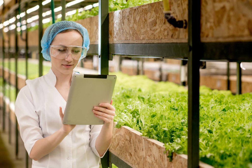 Study food in the Honours Bachelor of Food Studies degree program at George Brown College.